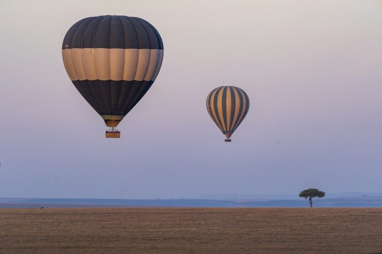 Hot air balloons drifting over the savanna at sunrise